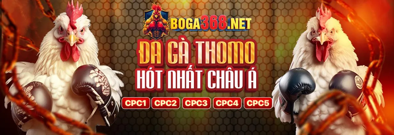 Hình ảnh chính về đăng ký 7clubs đá gà